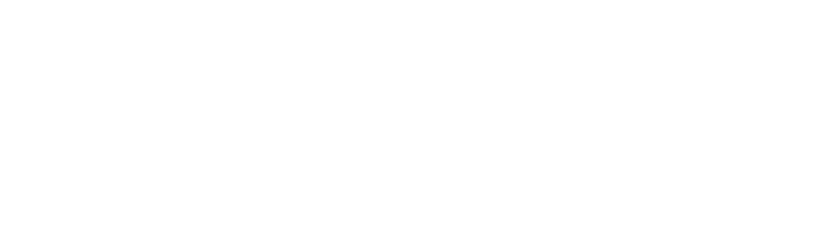 Perkyz; white logo